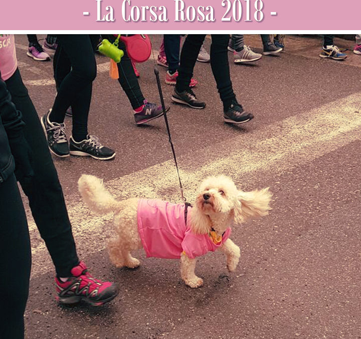 La Corsa Rosa 2018